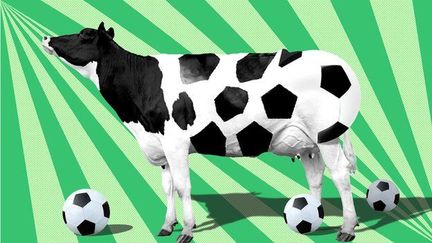 Illustration of a cow morphing into a football