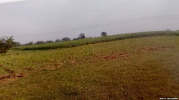 পলাশীর প্রান্তর, এখানেই হয়েছিল পলাশীর যুদ্ধ