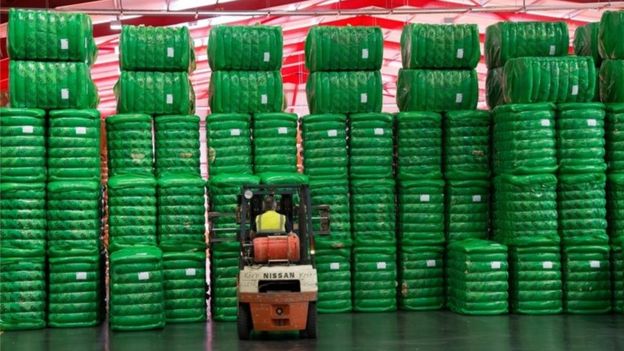 Coronavirus: Sheep wool 'barely worth selling any more' 4 British Wool depot