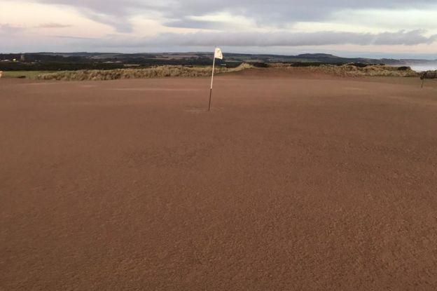 Gold course covered in sand