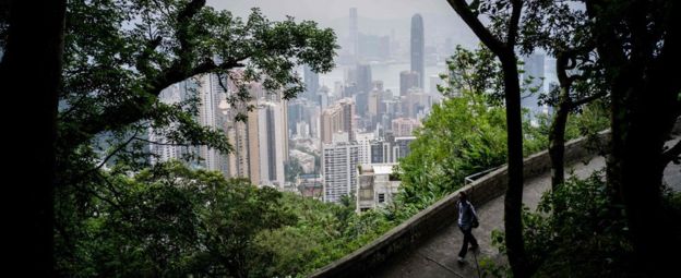 a man walks down a leafy path on Victoria Peak in Hong Kong