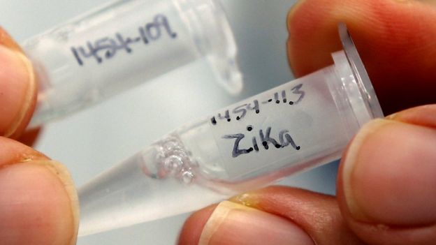 Amostras do vírus Zika