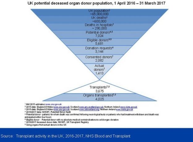 Graphic of potential deceased organ donors. Image copyright NHSBT