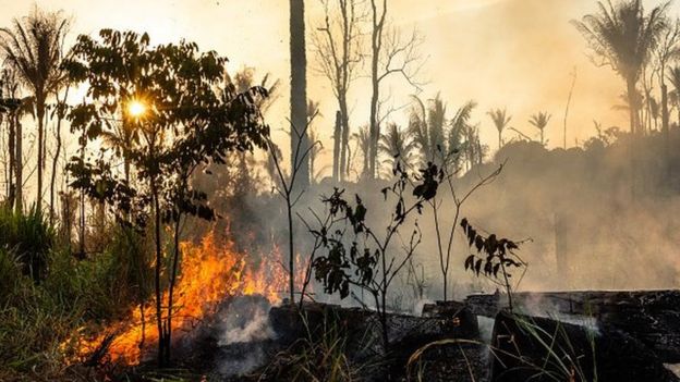 Incendios en el Amazonas