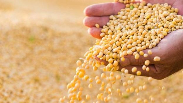Brazil and Argentina are the largest exporters of Latin American soybeans to China.