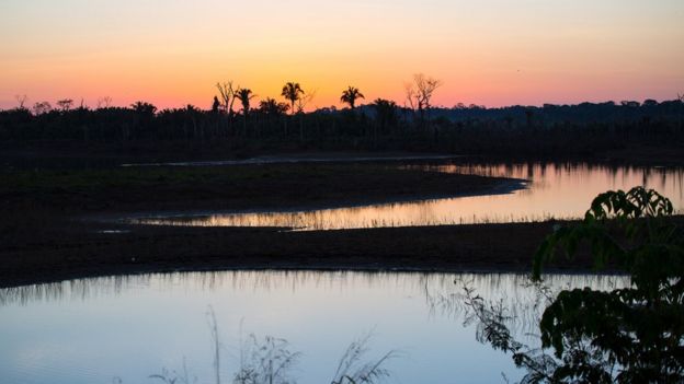 Por do sol na Amazônia em Rondônia