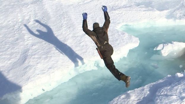A sealer jumping over a gap in the ice flow