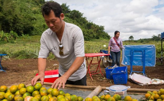 西拉帕差的農田在拯救行動中，被抽出的水淹浸，他現在改向到訪的遊客賣橙子維生。