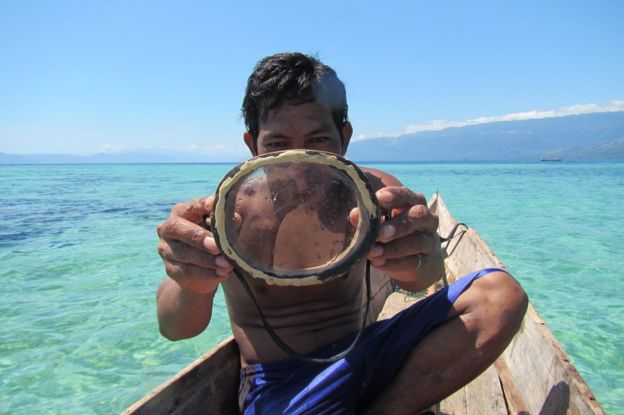 Bajau People Evolved Bigger Spleens For Free Diving Bbc News 6748