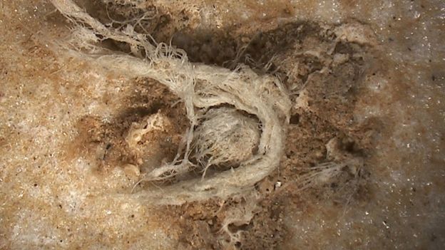 Handout photo issued by M-H Moncel/Histoire Naturelle de l'Homme Préhistorique showing a cord fragment discovered at the Abri du Maras archaeological site in France