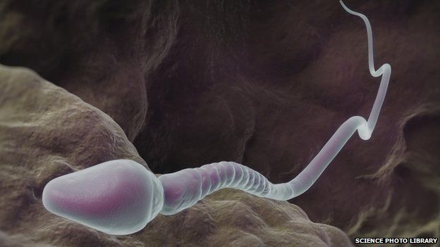 does sperm production hurt