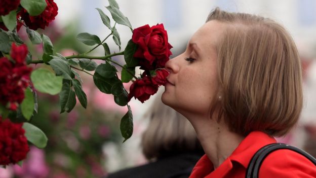 Mujer huele rosas.