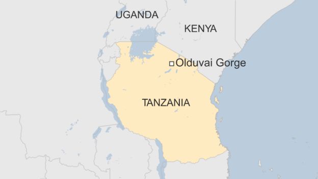 Eneo la Laetoli hupatikana kilomita 40 kutoka Olduvai Gorge