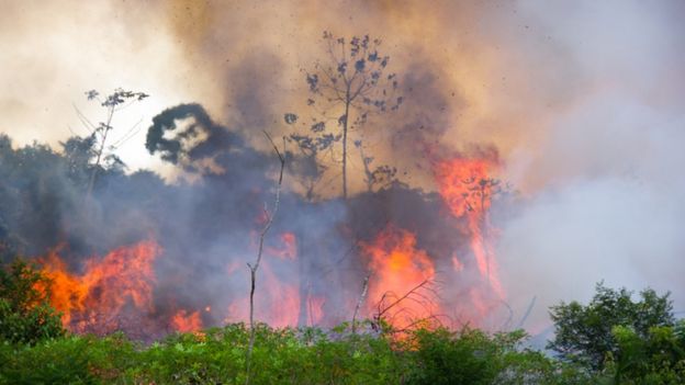 Floresta amazônica em chamas