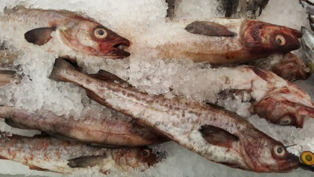 Fish fingers surprisingly sustainable, say conservationists - BBC News