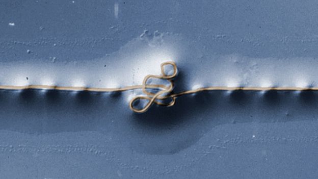 சிந்தெடிக் பாலிமரை காட்டிலும் சிறந்த சிலந்தி வலை பட்டுகள்