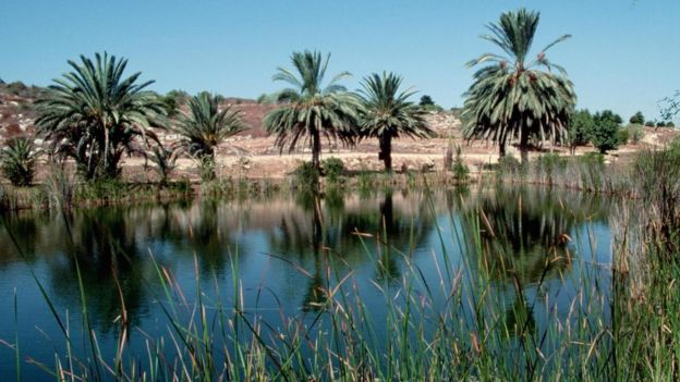 La reserva natural de Neot Kedumim en Israel recrea el paisaje bíblico. Foto: GETTY IMAGES 