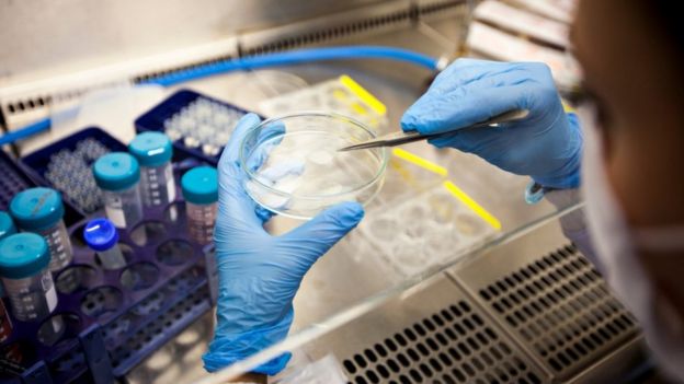 Human genetics work at Edinburgh University gets £53m boost - BBC News