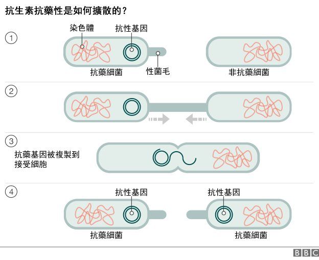 圖表：抗生素抗藥性是如何擴散的？