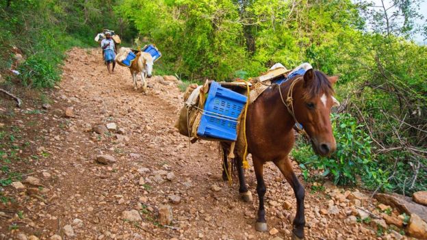 வளசுப்ரமணியம் என்