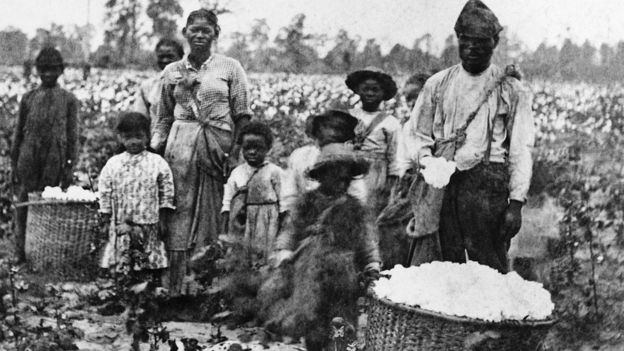 fotografía de una familia de esclavos con hijos recogiendo algodón en un campo