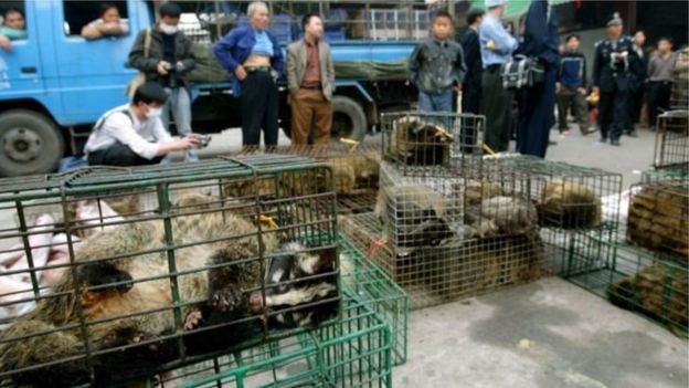 বন্যপ্রাণী বিক্রি