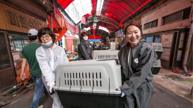 Animal charities assist South Korean authorities shut down Gupo dog meat market in Busan, one of the country's largest markets selling dog meat and live dogs.