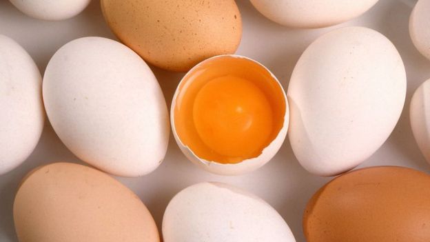 Tavuk yumurtası ne kadar ağırlık veriyor ve nasıl belirliyor Tavuk yumurtası ne kadar ağırlık veriyor ve nasıl belirliyor