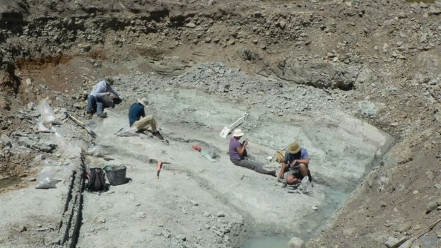 The fossil dig site at St Bathans in New Zealand where the fossilised remains of an extinct burrowing bat, Vulcanops jennyworthyae, were found.
