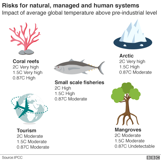 Graphic showing what is likely to be affected by different rises in temperature