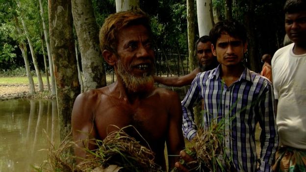 গরুকে খাওয়ানোর ঘাসও নেই কোথাও।