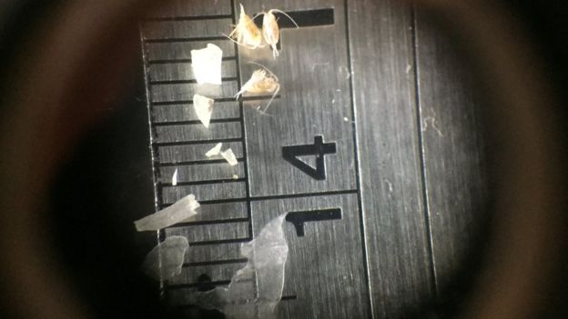 Mikroskop altında mikroplastikler