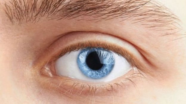 கண் விழி