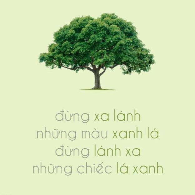 Hình từ một trang FB (@manfortree) vận động bảo vệ cây xanh ở VN