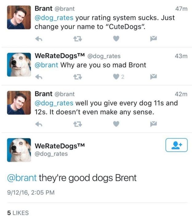 They're good dogs, Brent
