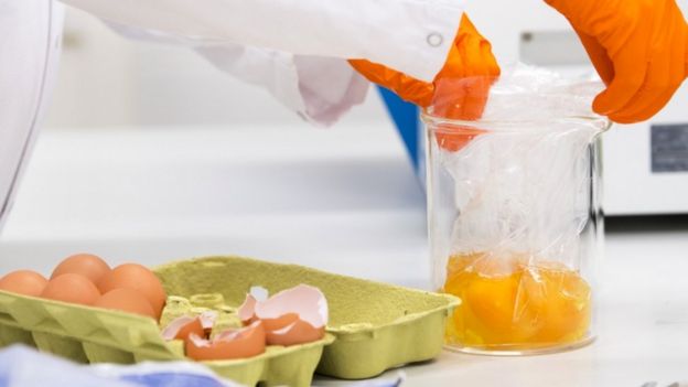 네덜란드 음식 및 안전 보드 labratory 작업자 오염에 대 한 계란을 테스트의 사진