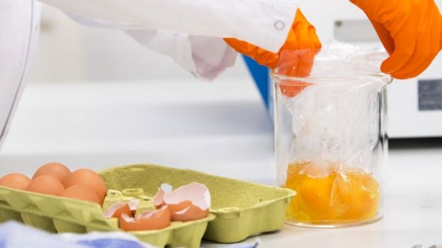 Photo of Dutch food and safety board labratory worker testing eggs for contamination