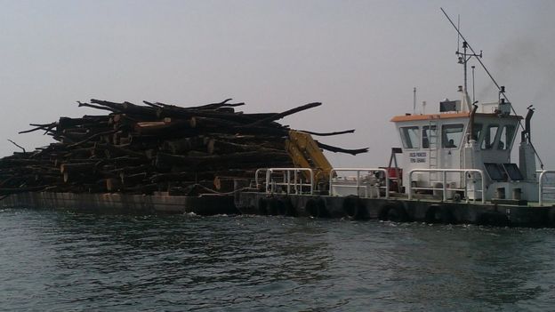 Le bois du lac est chargé sur une barge avant d'être transporté à une scierie.