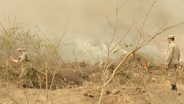 Bombeiros atuam em combate a foco de incêndio no Pantanal