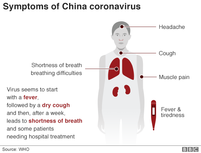 Các triệu chứng của virus corona