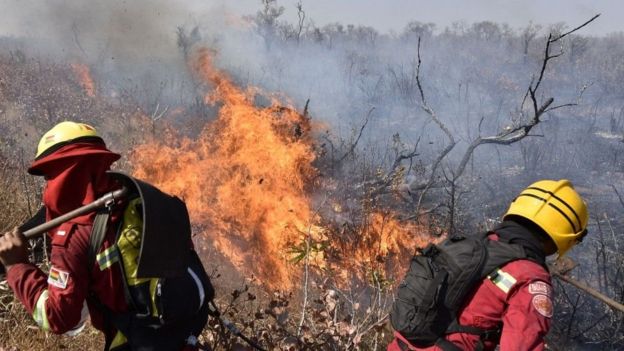 “Una de las mayores historias del informe este año es la pérdida masiva de bosque en Bolivia debido a los incendios catastróficos de 2019”, señaló Frances Seymour.