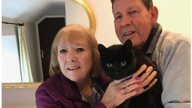 Black Cat Disappears For Six Years – Returns on Halloween