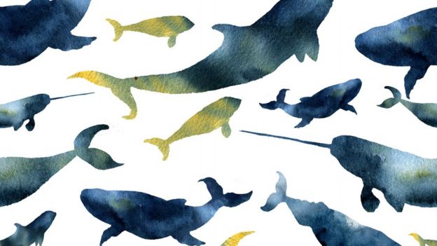Watercolor seamless pattern with silhouettes of whales. Illustration with blue whales, cachalot, orca and narwhal isolated on white background. For design, prints or background