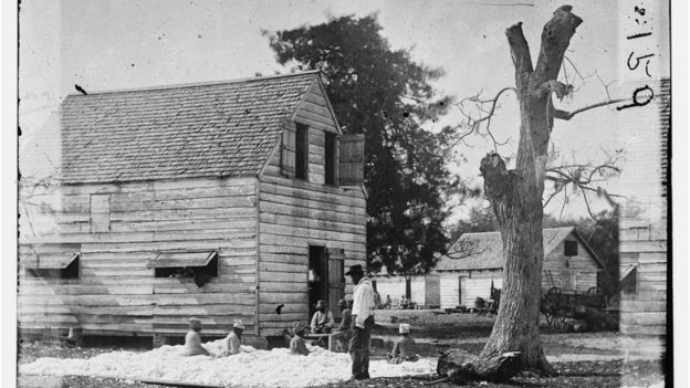 Escravos trabalhando com algodão em fazenda na Carolina do Sul, em 1862