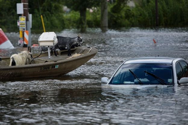 Louisiana floods: One of the worst recent US disasters - BBC News