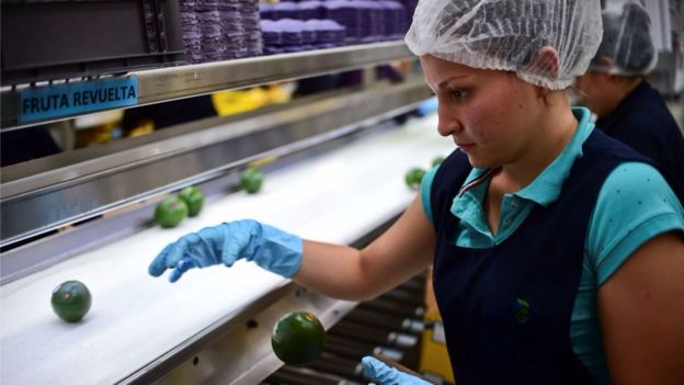 La controversia por el aguacate mexicano en Costa Rica dura casi 2 años.