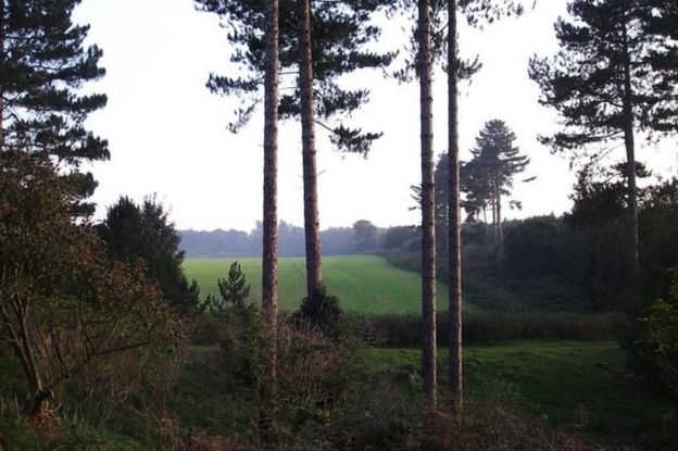 Alleged site of UFO landing in Rendlesham Forest in Suffolk