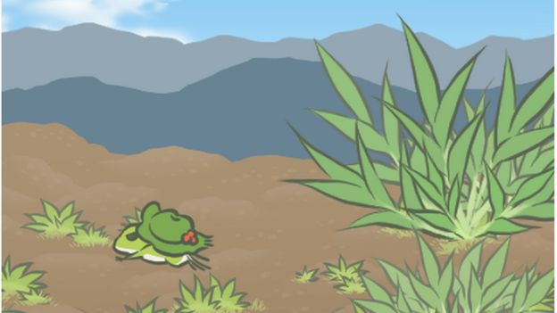The frog travels in a desert