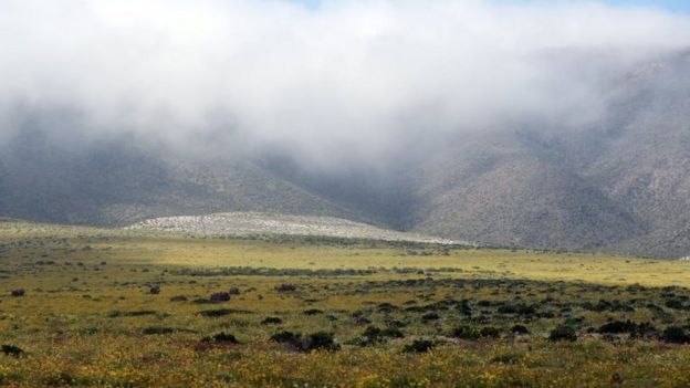 atacama