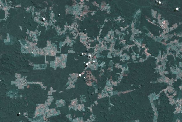 Desmatamento na bacia do Xingu
